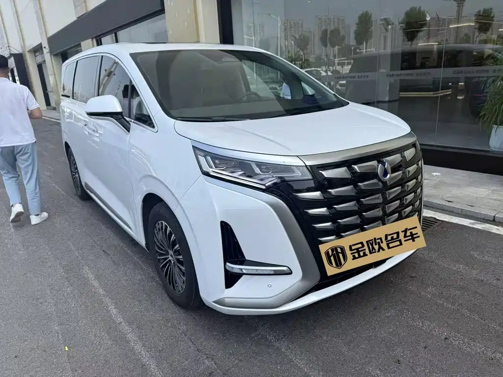 Denza Denza D9 — миниатюра 2