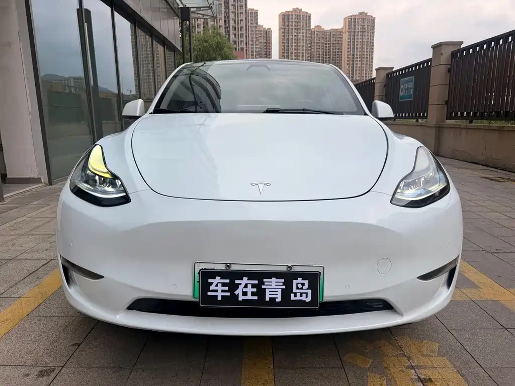 Tesla Model Y — миниатюра 2