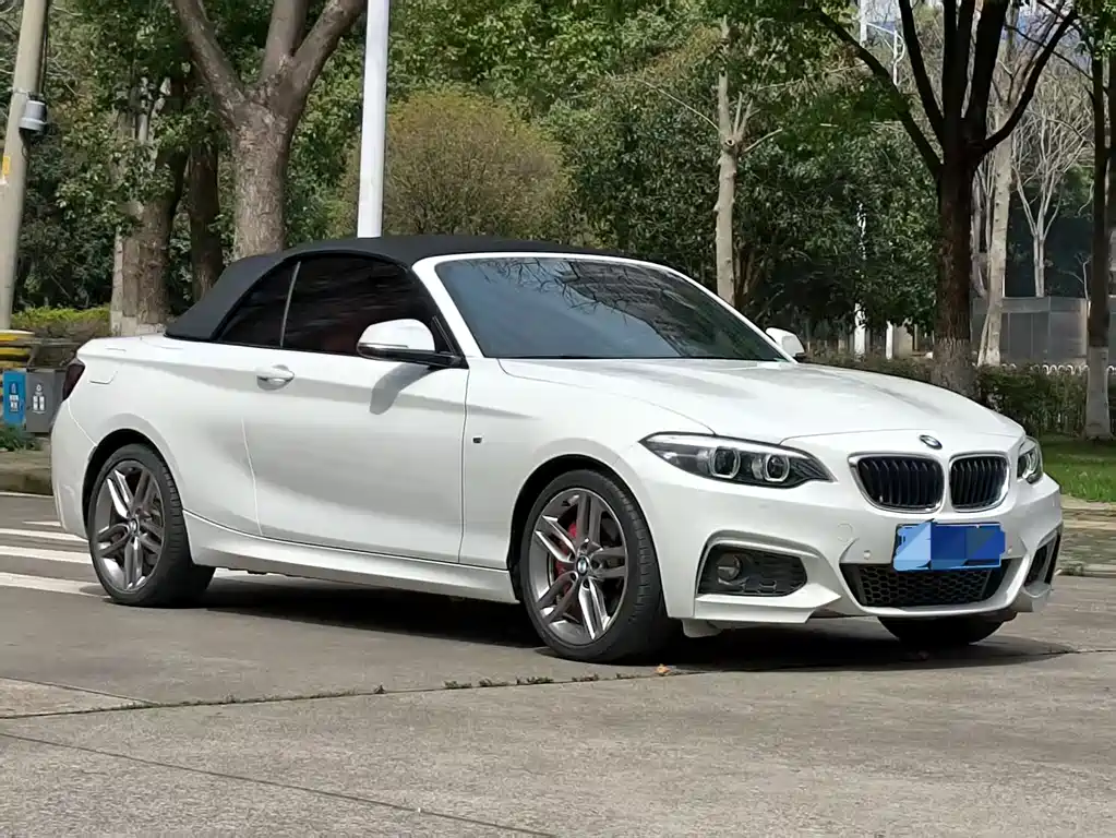 BMW 2 Series 2 2018 225i M Sport