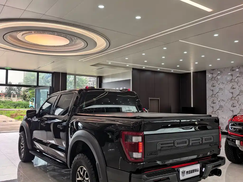 Ford F-150 Raptor — миниатюра 7