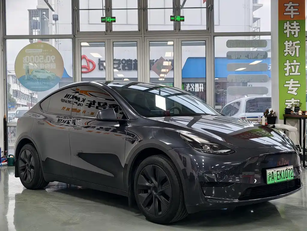 Tesla Model Y — миниатюра 3