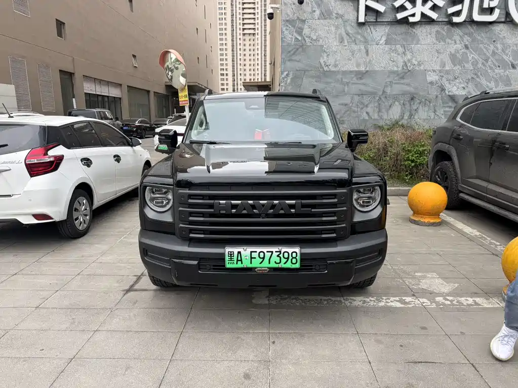 Haval Menglong New Energy 2024