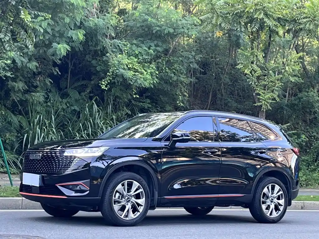 Haval H6 — миниатюра 4