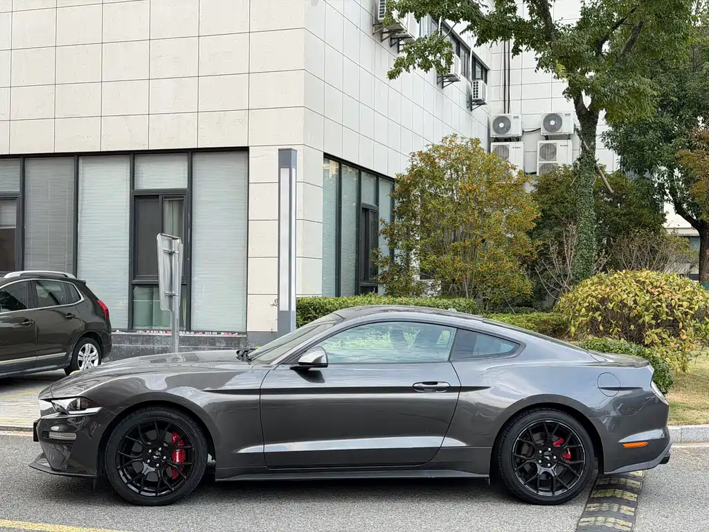 Ford Mustang — миниатюра 4