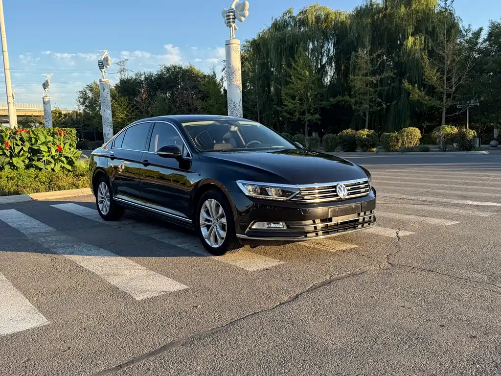 Volkswagen Magotan — миниатюра 2