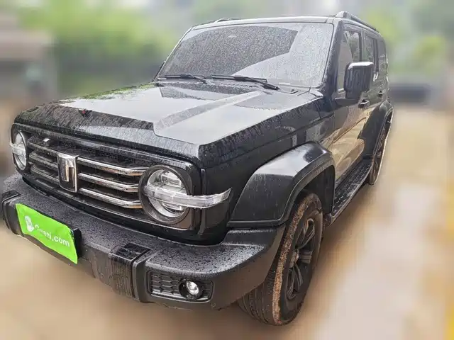 2024 TANK 300