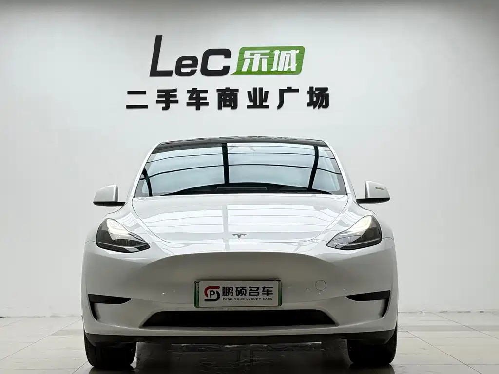 Tesla Model Y — миниатюра 2