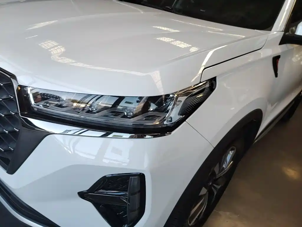 Chery Tiggo 7 PLUS — миниатюра 24