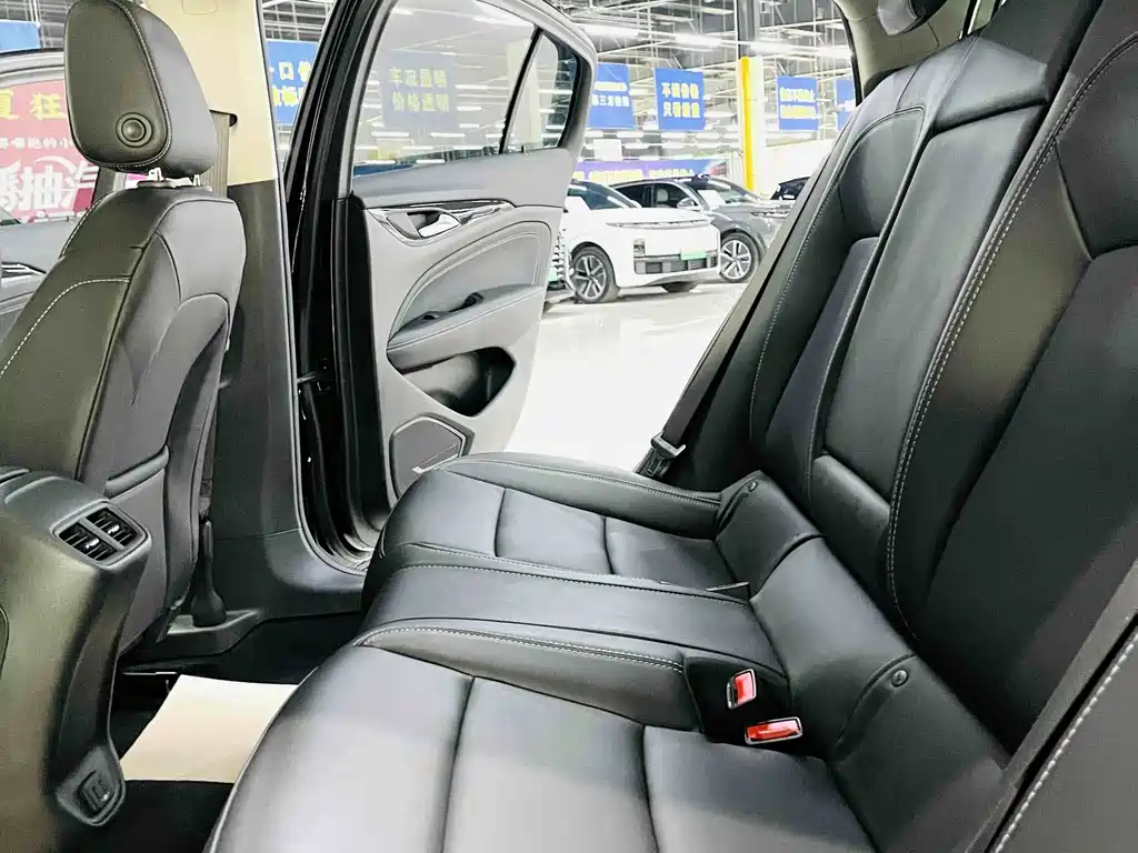 Buick Regal — миниатюра 8