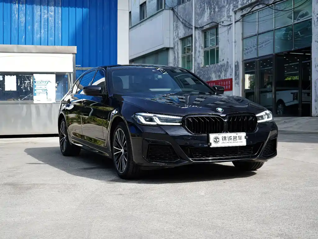 BMW 5 Series — миниатюра 2