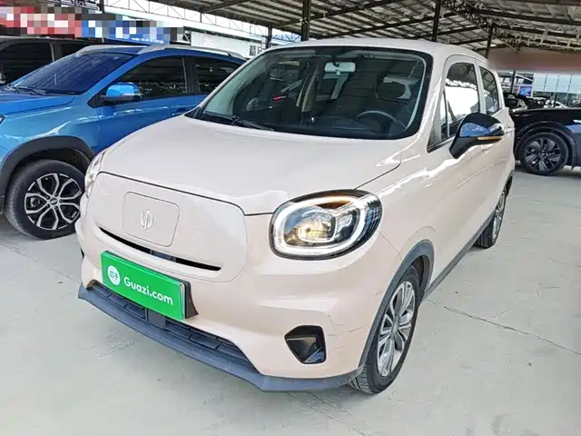 2022 Leapmotor T03