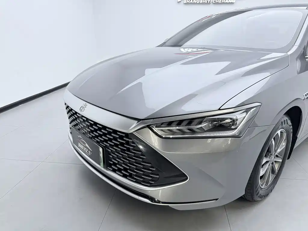 BYD Qin Plus PLUS 2024 DM-i 55KM Lead