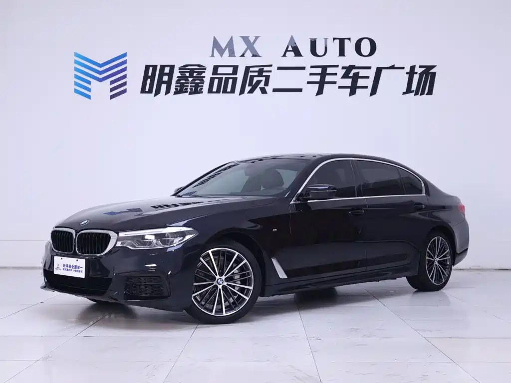BMW 5 Series — миниатюра 2