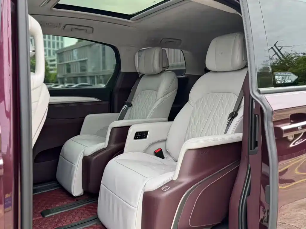 Buick GL8 2023 Avenir мест