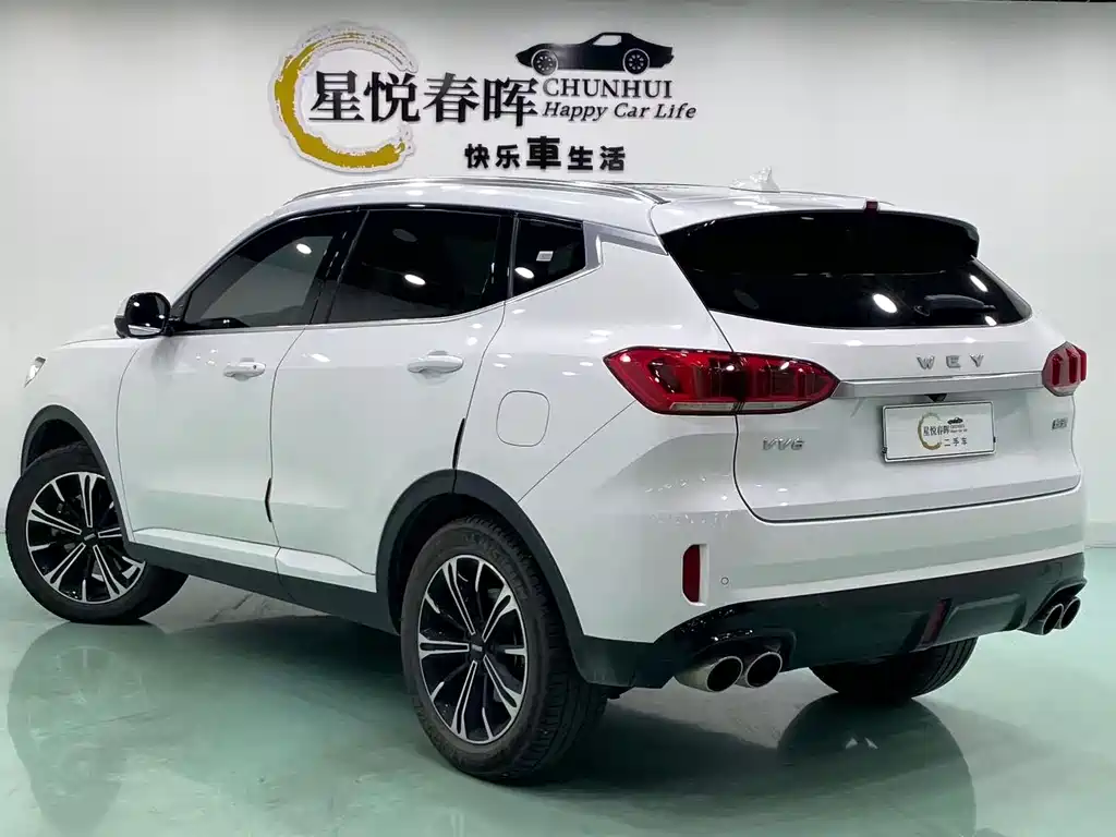 Wey Wey VV6 — миниатюра 7