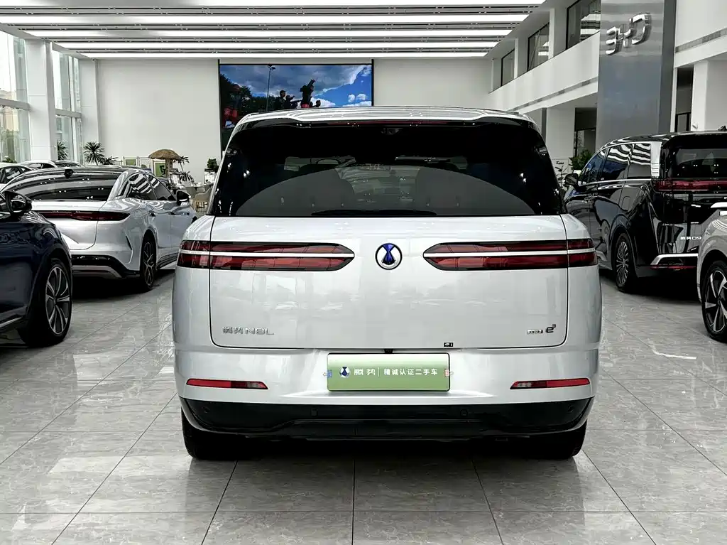 Denza Denza N8L — миниатюра 9