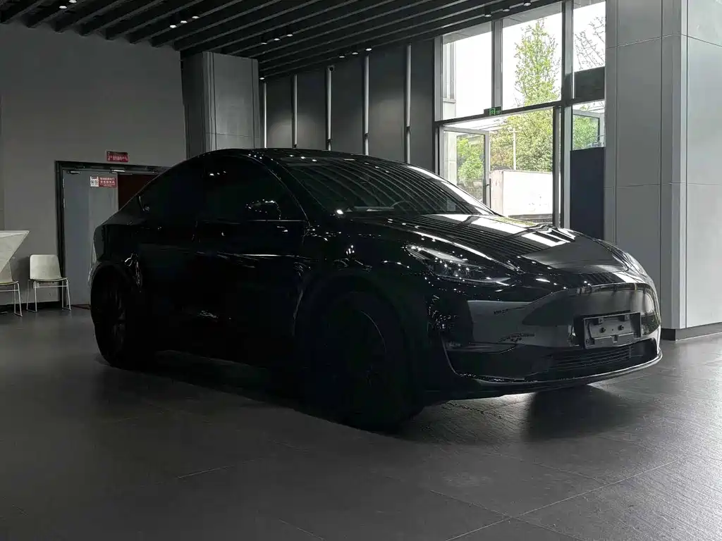 Tesla Model Y — миниатюра 3