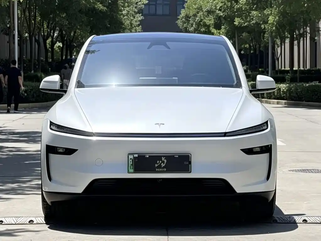 Tesla Model Y — миниатюра 2
