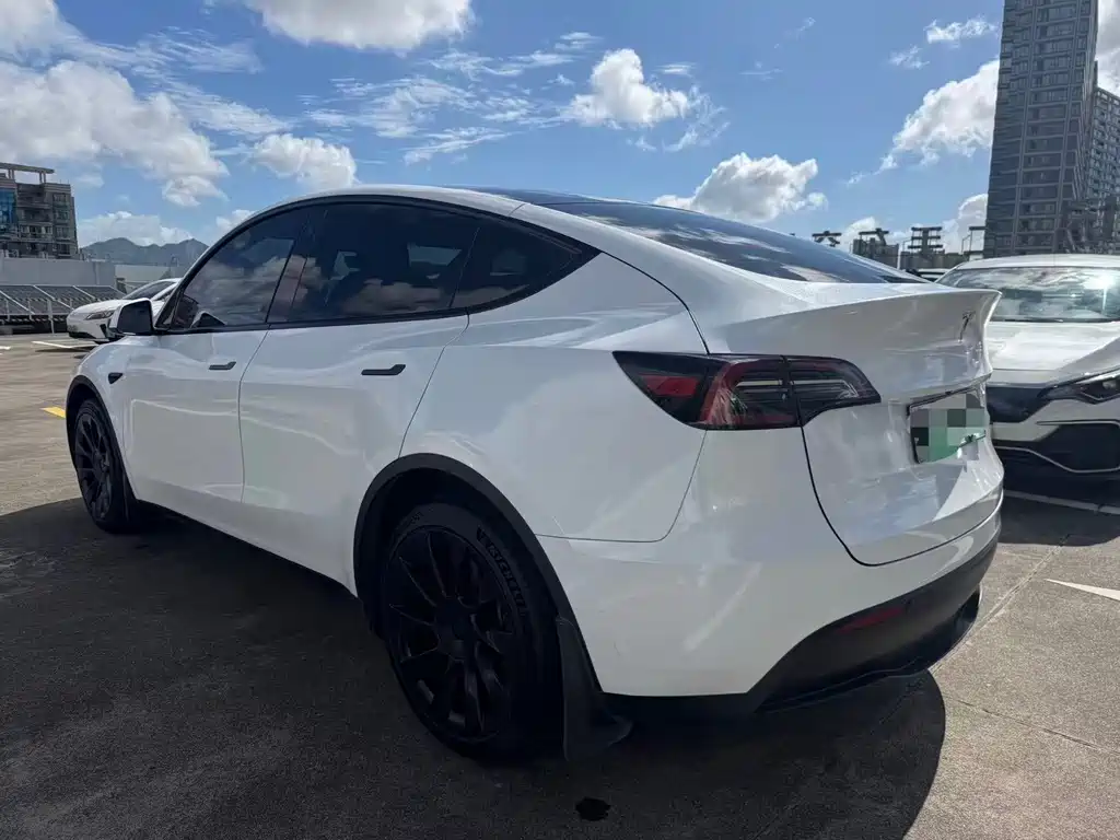 Tesla Model Y — миниатюра 9
