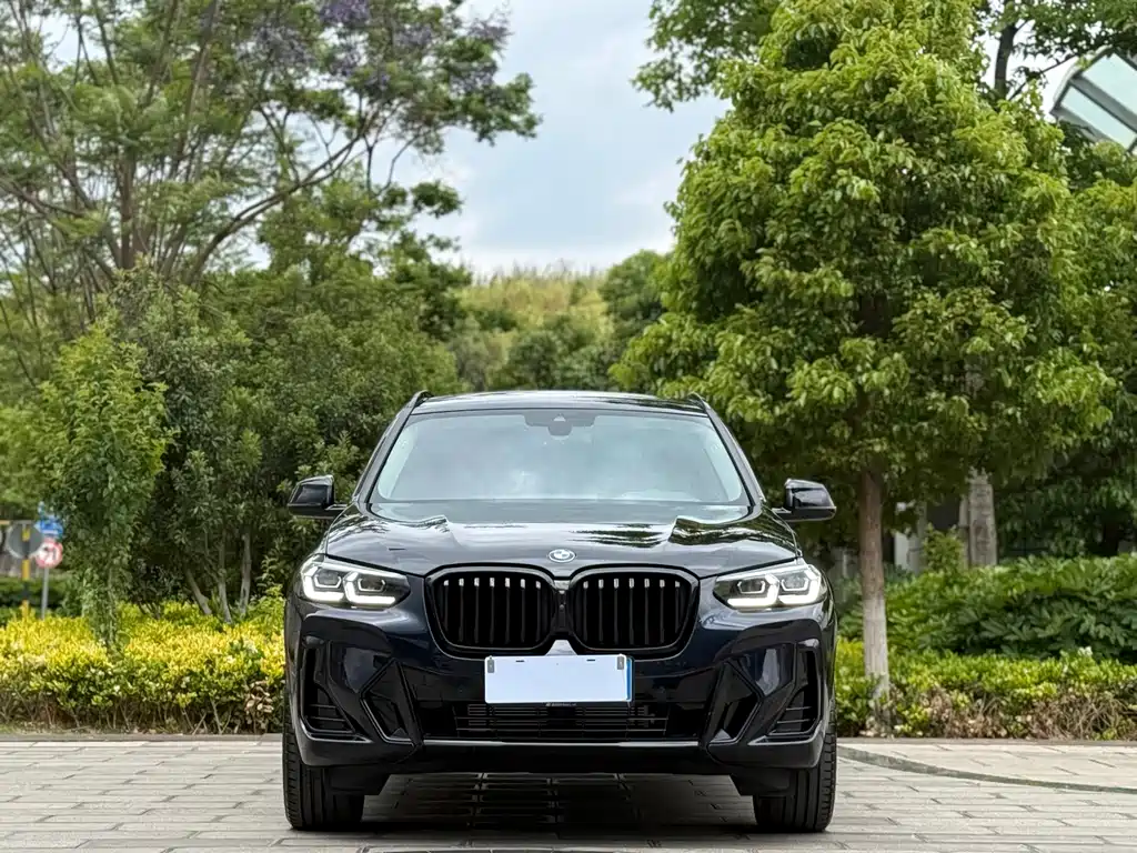 BMW X3 2022 xDrive30i Lead M