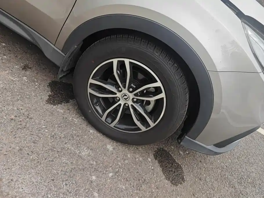 Fengguang Fengguang 580 — миниатюра 6