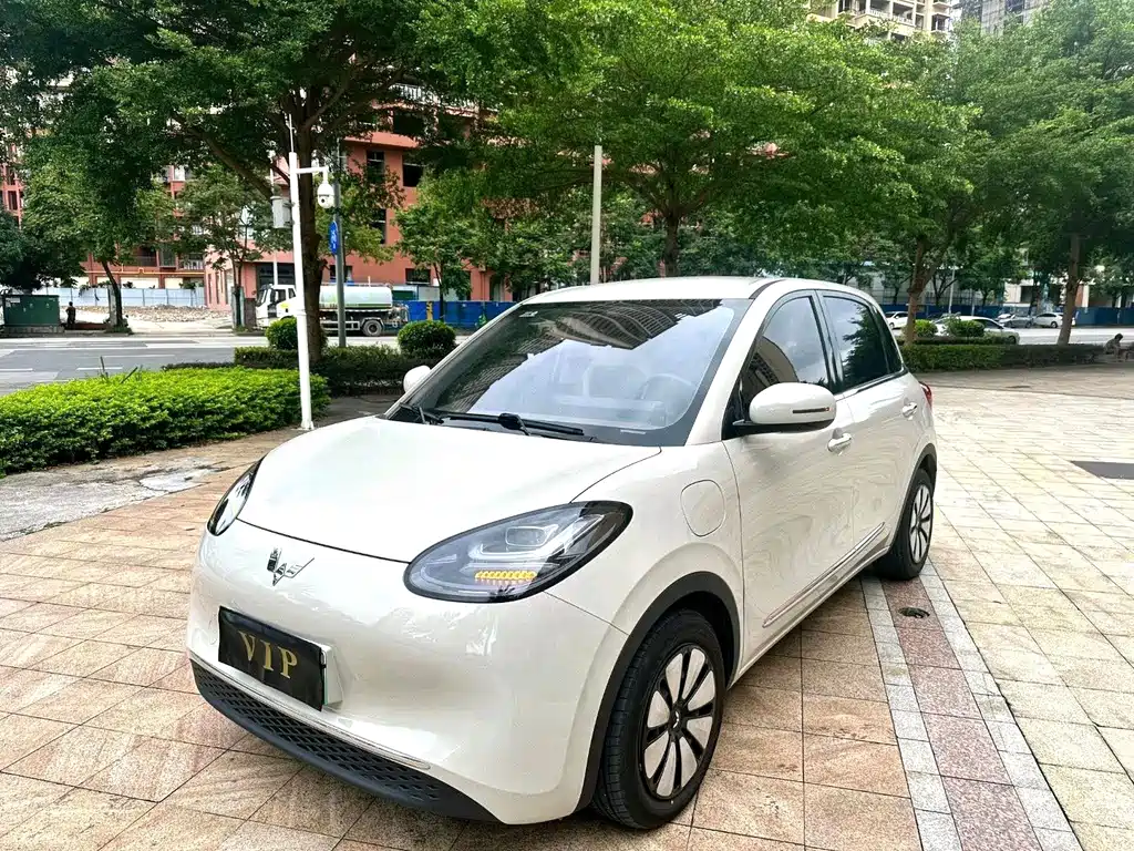 Wuling Bingo — миниатюра 3