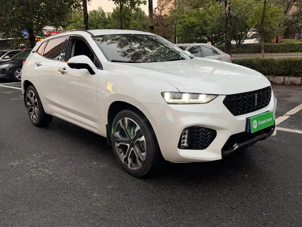 Wey Wey VV7 — миниатюра 8