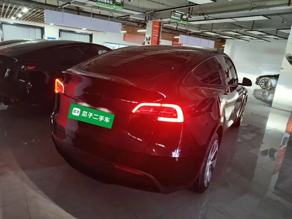 Tesla Model Y — миниатюра 7