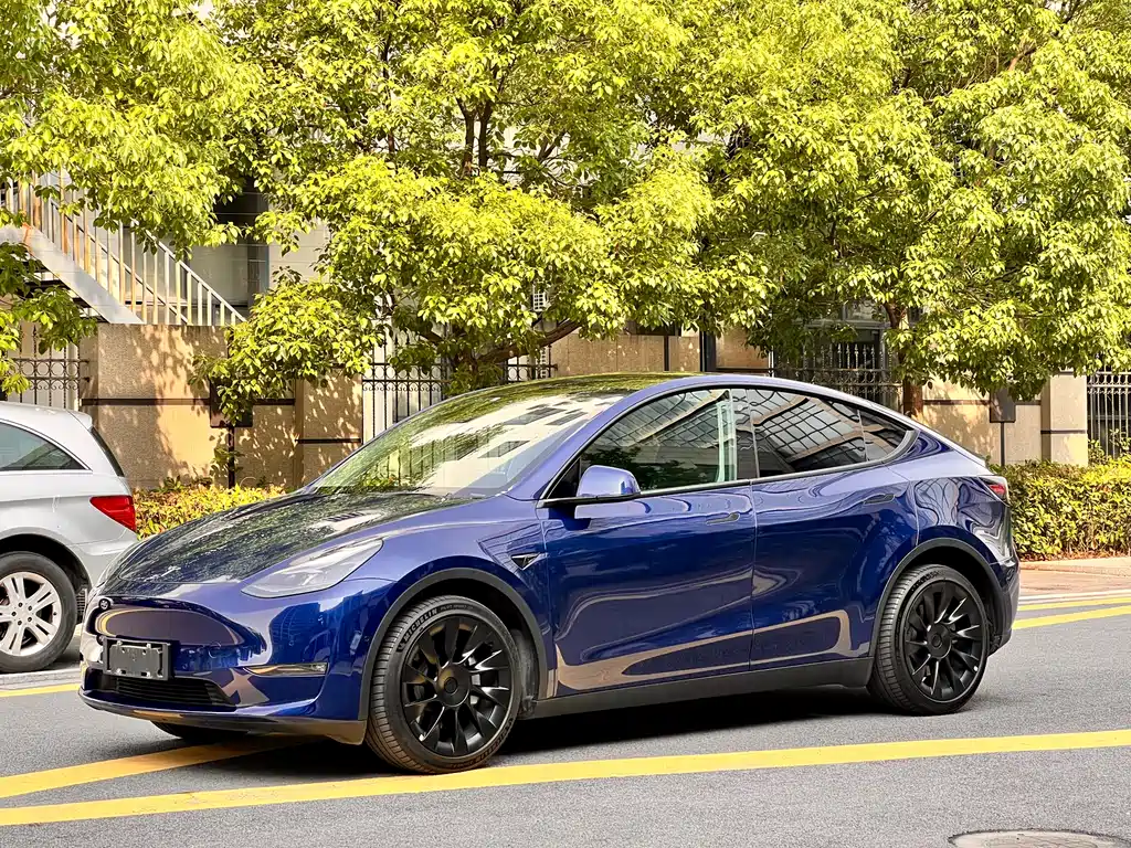 Tesla Model Y 2021 Long Range AWD Edition 3D7