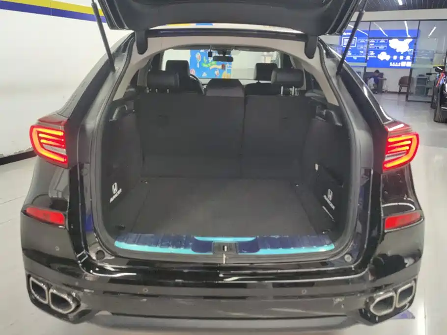 Honda Avancier — миниатюра 4