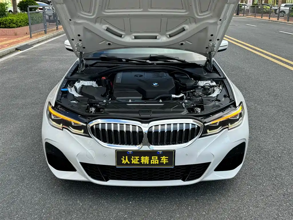 BMW 3 Series 3 2020 325Li M Sport