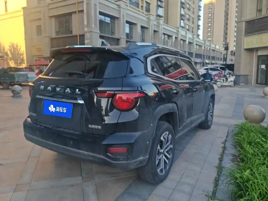Haval Big Dog PLUS — миниатюра 3