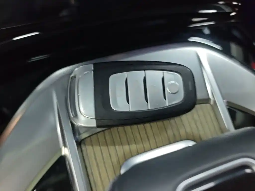 Hongqi Hongqi E-HS9 — миниатюра 9