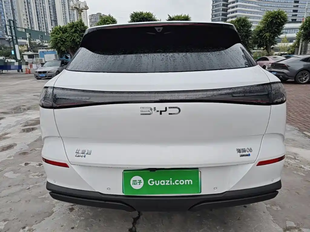 BYD Sealion 06 — миниатюра 6