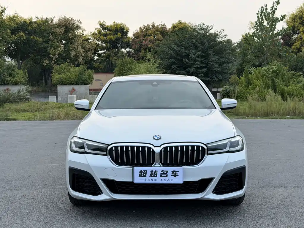 BMW 5 Series — миниатюра 2