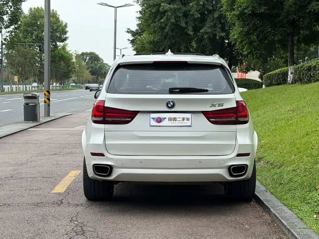 BMW X5 (Import) — миниатюра 5