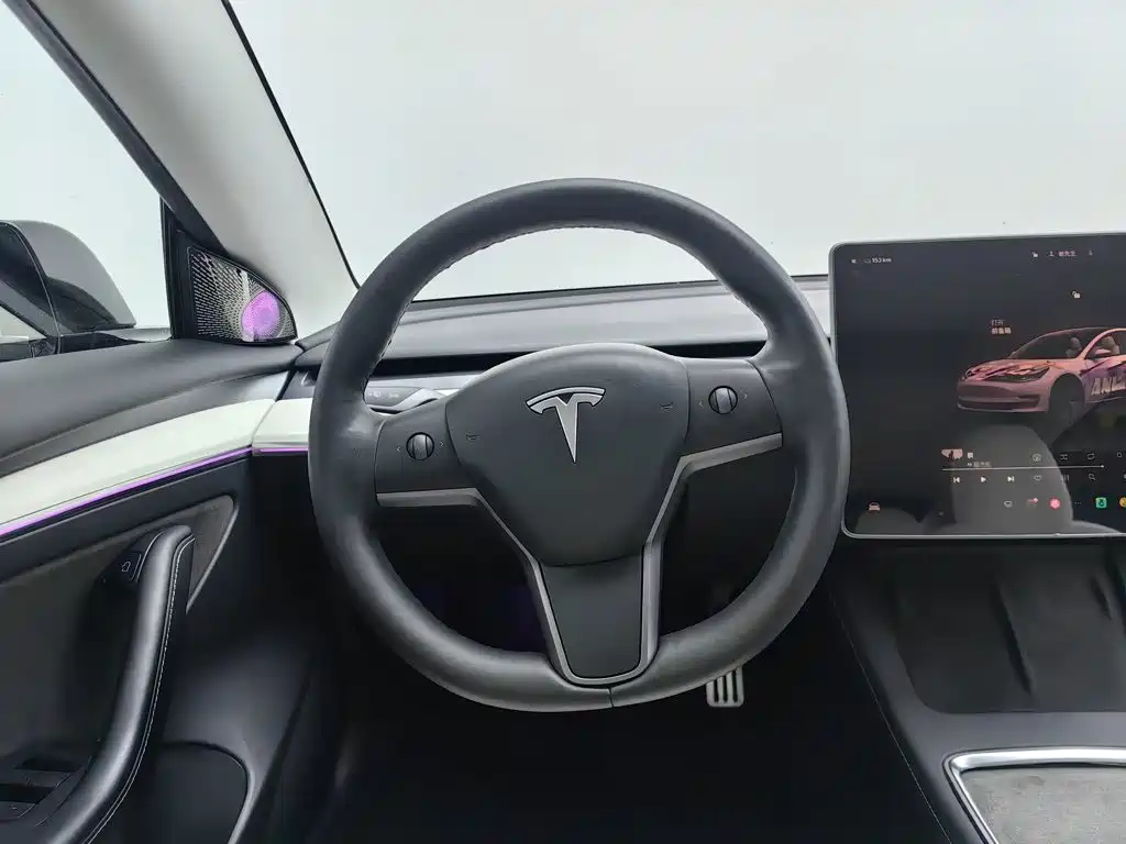 Tesla Model 3 — миниатюра 11