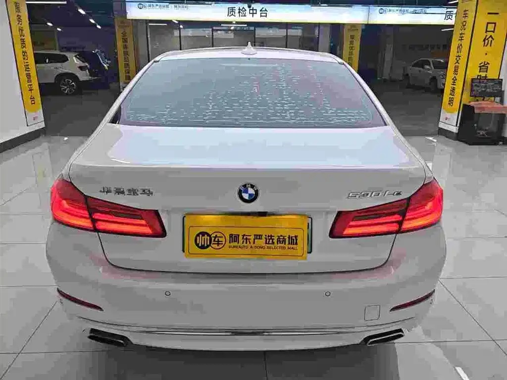 BMW 5 SERIES NEW ENERGY