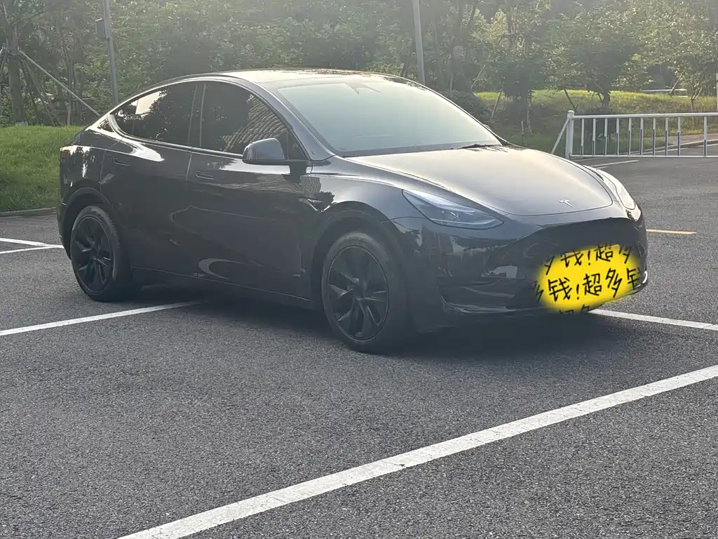 Tesla Model Y — миниатюра 3