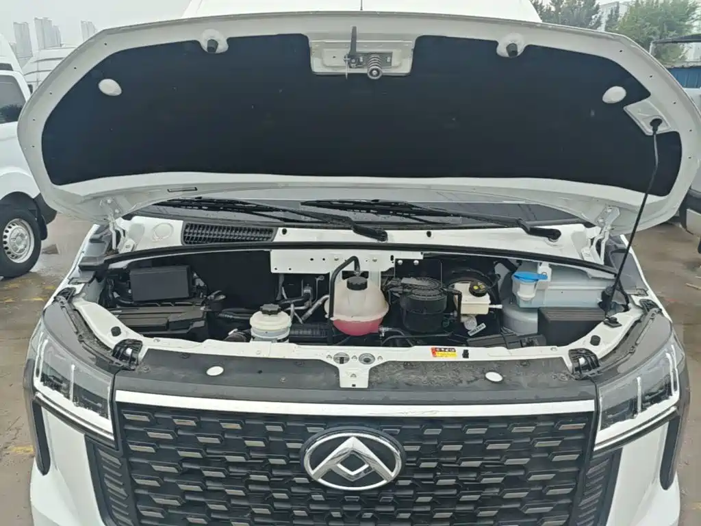 MAXUS V80 — миниатюра 20
