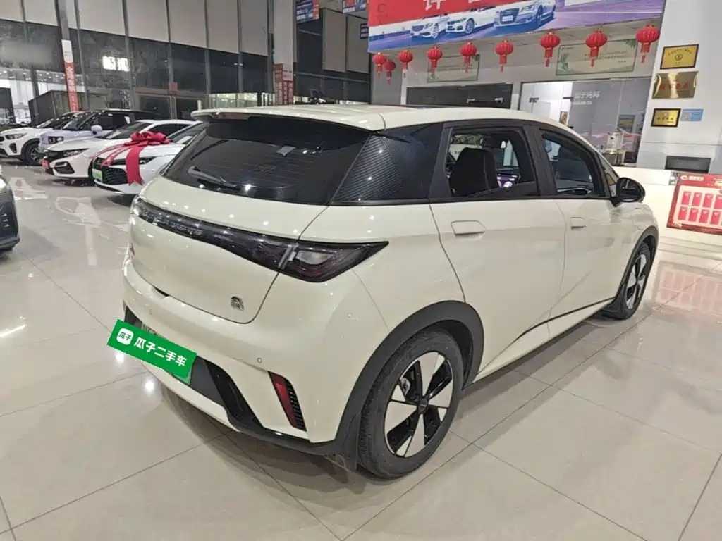 BYD Dolphin — миниатюра 7