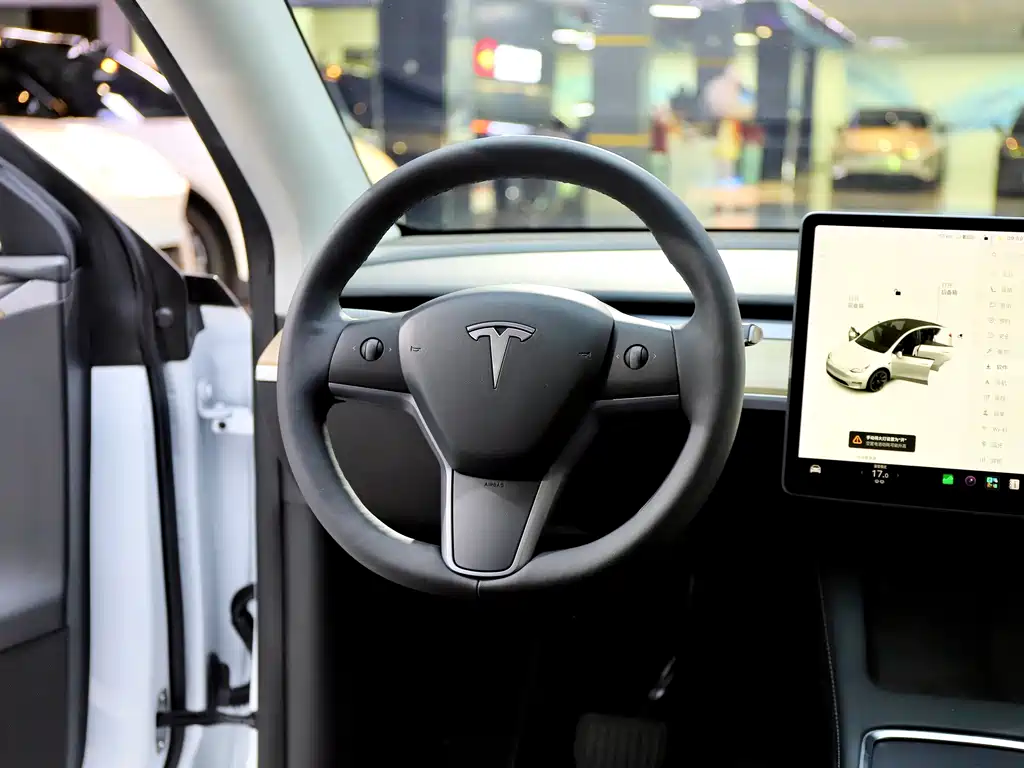 Tesla Model Y — миниатюра 11
