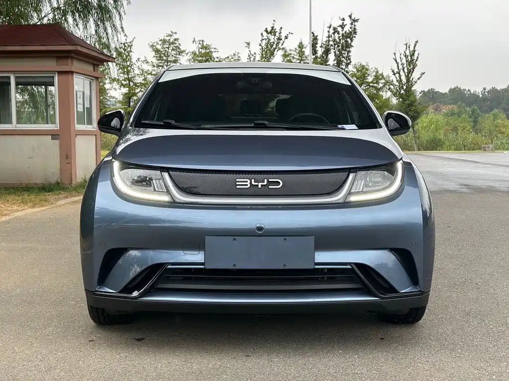 BYD Dolphin — миниатюра 2