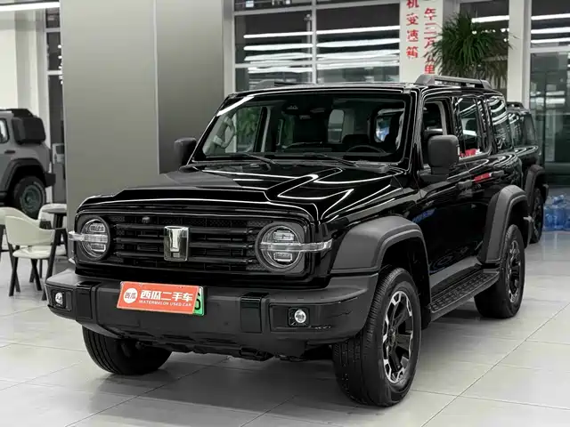 2025 TANK 300