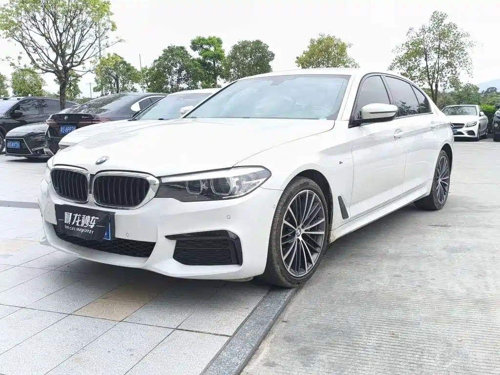 BMW 5 Series 2019