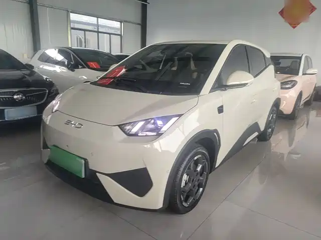 2025 BYD Seagull