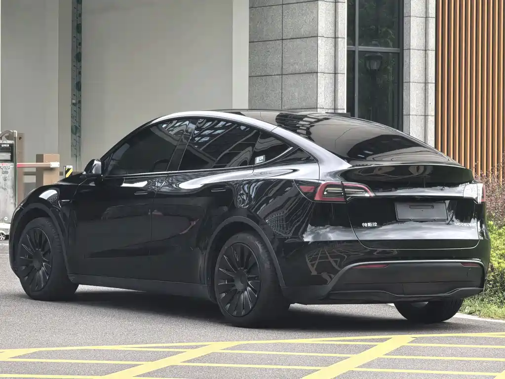 Tesla Model Y — миниатюра 4