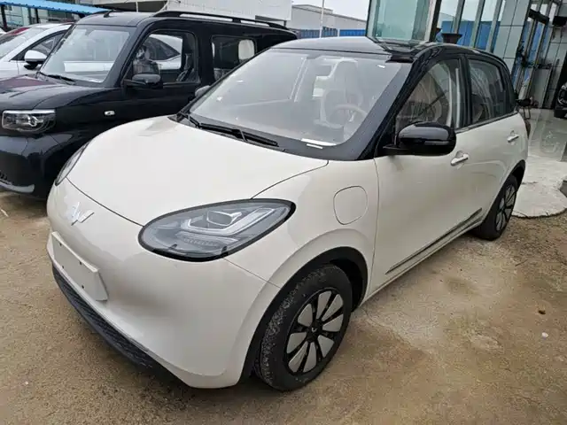 2026 Wuling Motors Binguo