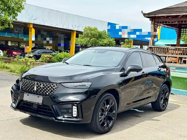 WEI PAI WEI BRAND VV7