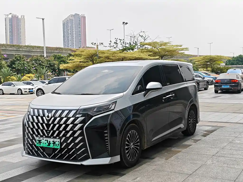 Denza D9